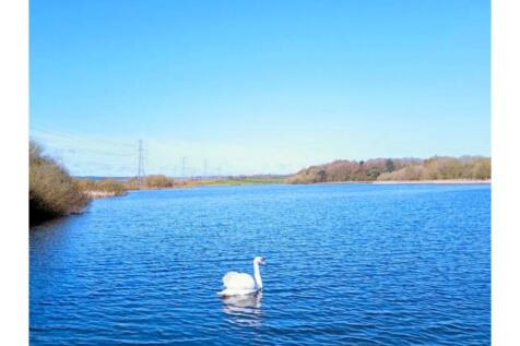 Fishing Lake