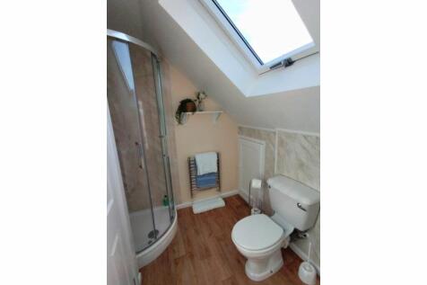 Annexe Shower Room