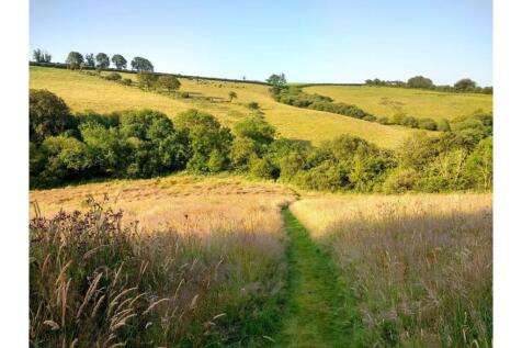 Meadow