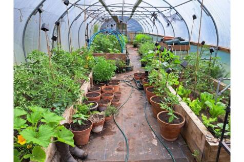 Greenhouse