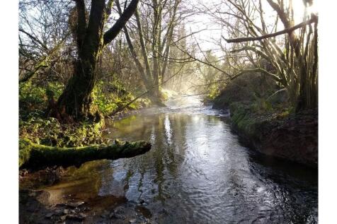 Nearby River