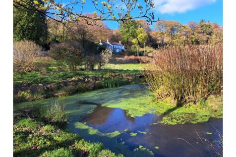Pond