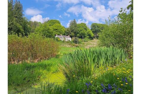 Pond