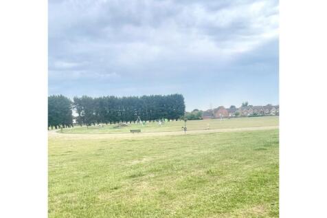 The Park