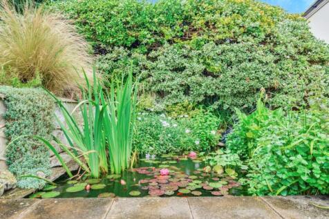 Pond