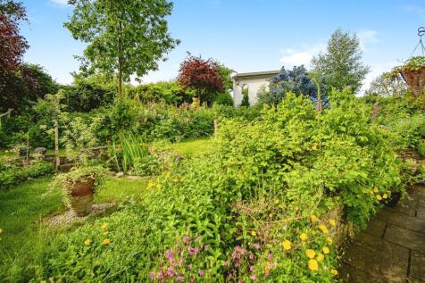 Mature Garden