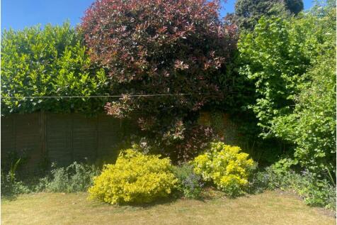 Side Garden