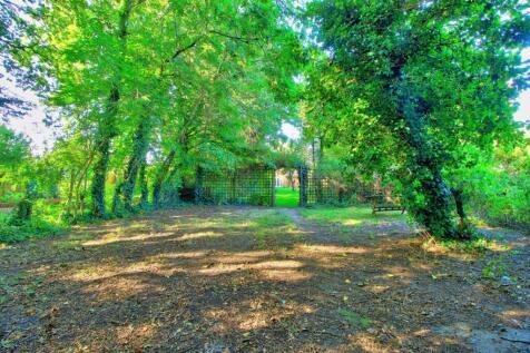 Bottom of the garden - ideal adventure playground!