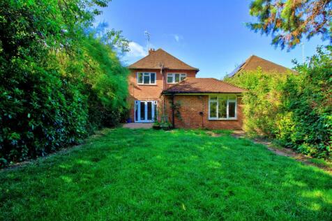 Border hedges could be thinned to widen the garden