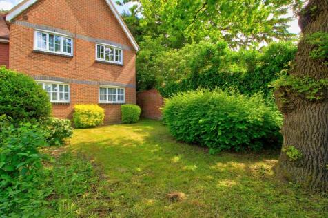 Rear Garden gets plenty of sunlight