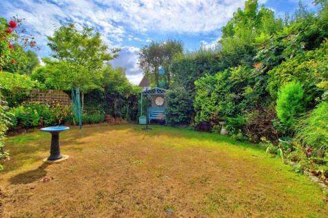 South-facing garden 