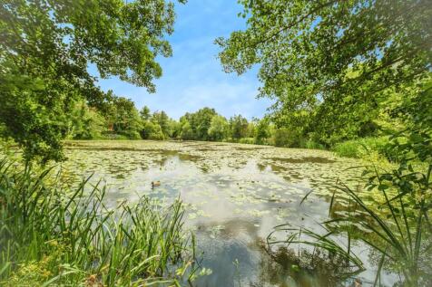 Fishing Lake