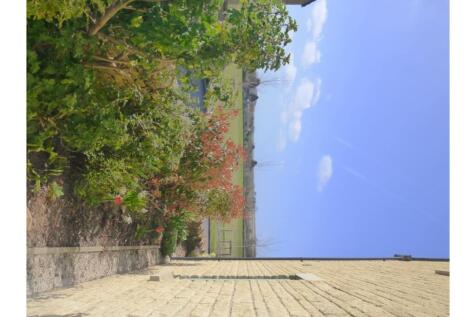 Side Garden