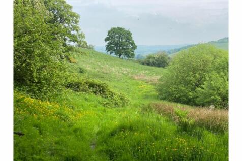 Woodland
