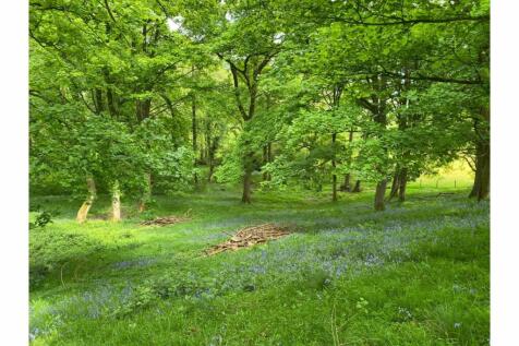 Woodland