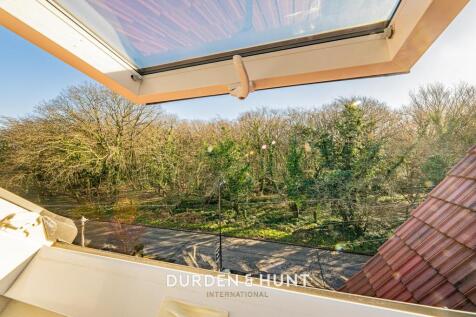 Hornbeam-37.jpg
