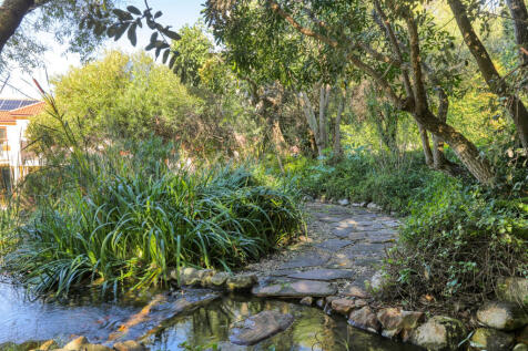 Property Image 57