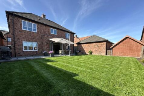 Property Image 62