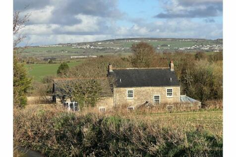 View Of The Property