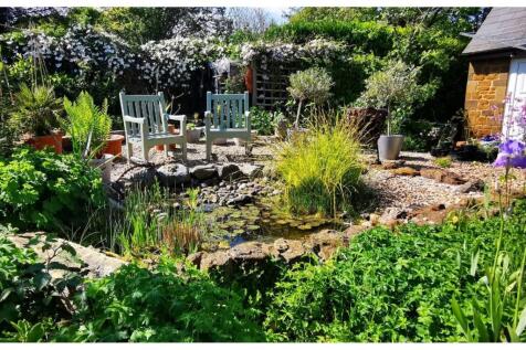 Pond