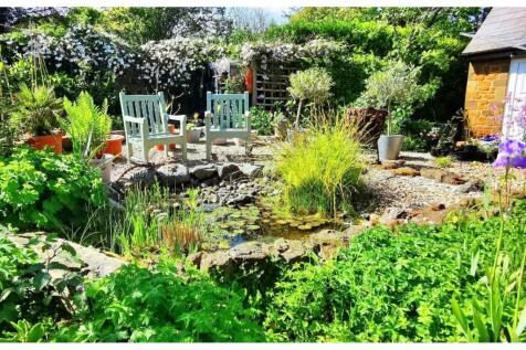 Pond