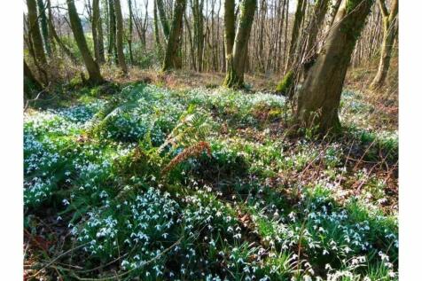 Property Image 28