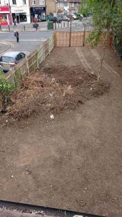 SIDE GARDEN