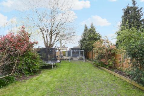 Back garden