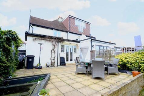 Back garden 2