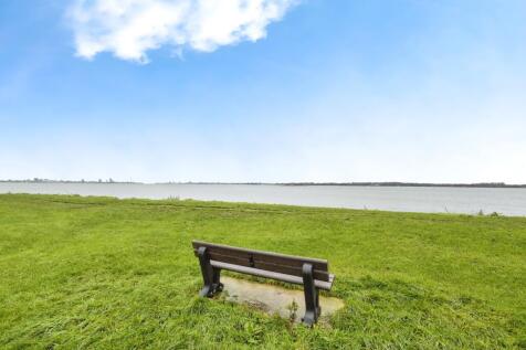 Local View