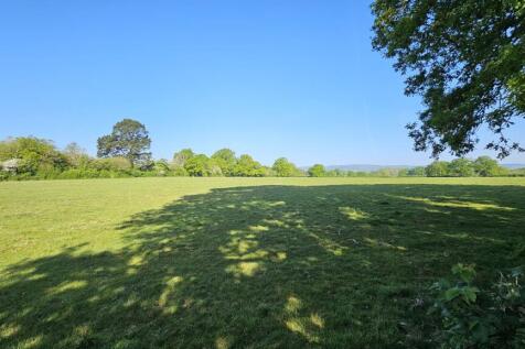 View from garden