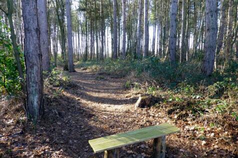 Woodlands2