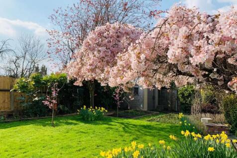 Garden.
