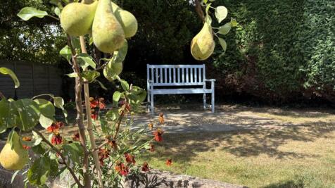 Property Image 21