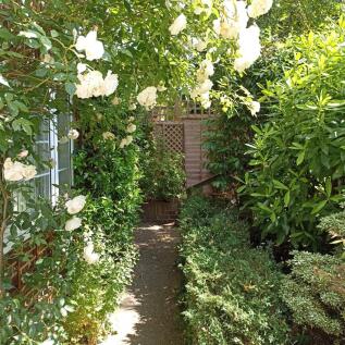 Front garden
