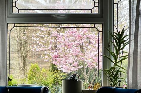 Window view