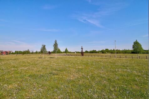 Field view