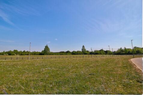 Field view