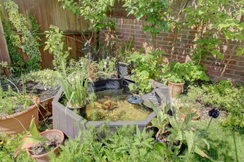 Pond