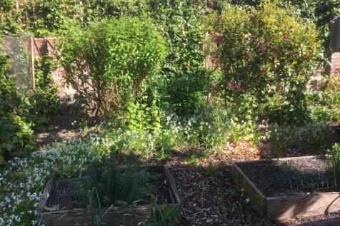 Garden 5
