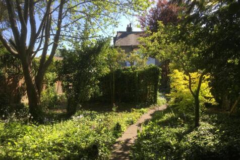 Garden 3