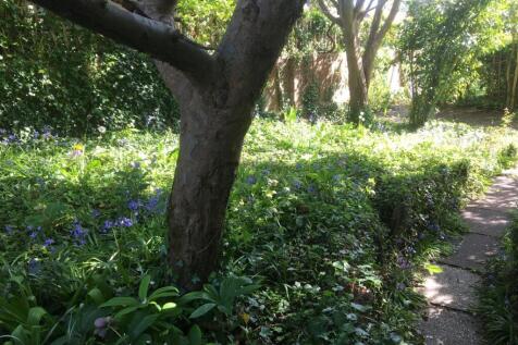 Garden 4