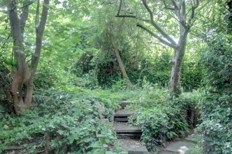 Woodland 4