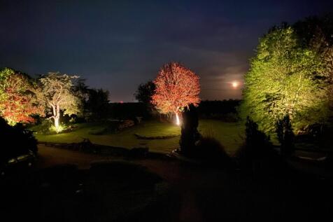 Top Deck Lawn by Night