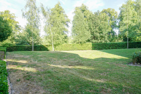 Communal Garden