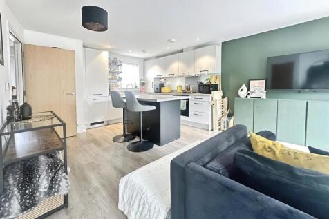 Open Plan Modern Kitchen/Lounge/Dining Family Area