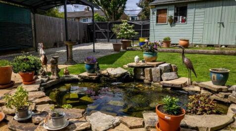 Pond