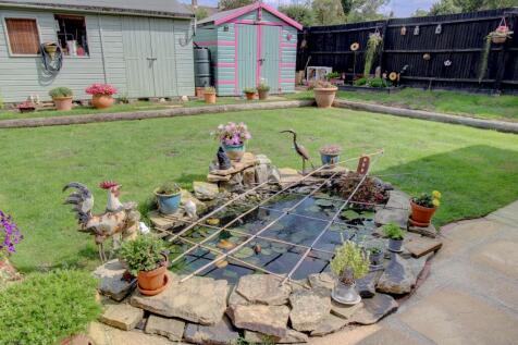 Pond