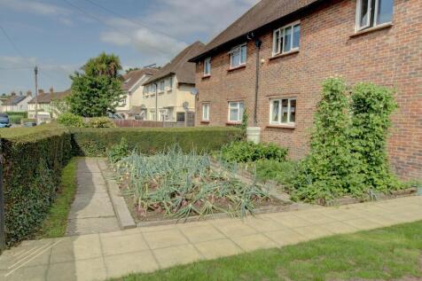 Vegetable garden