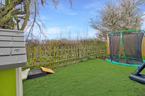 Back-Garden